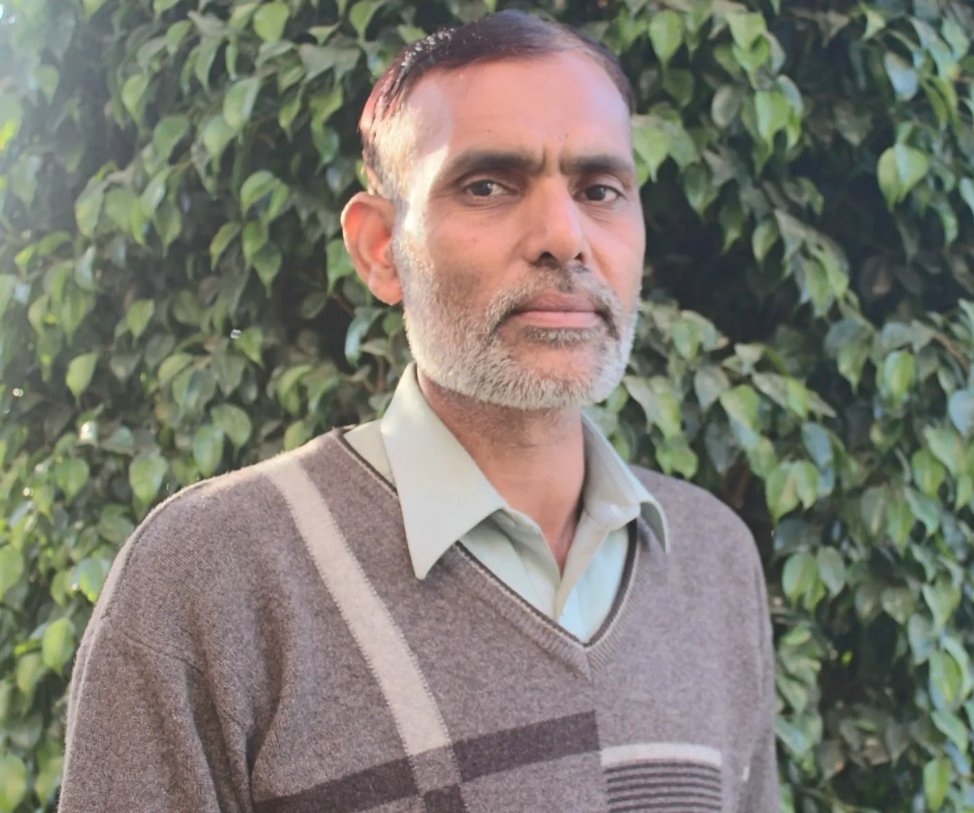 Office Assistant - Sadaqat Iqbal